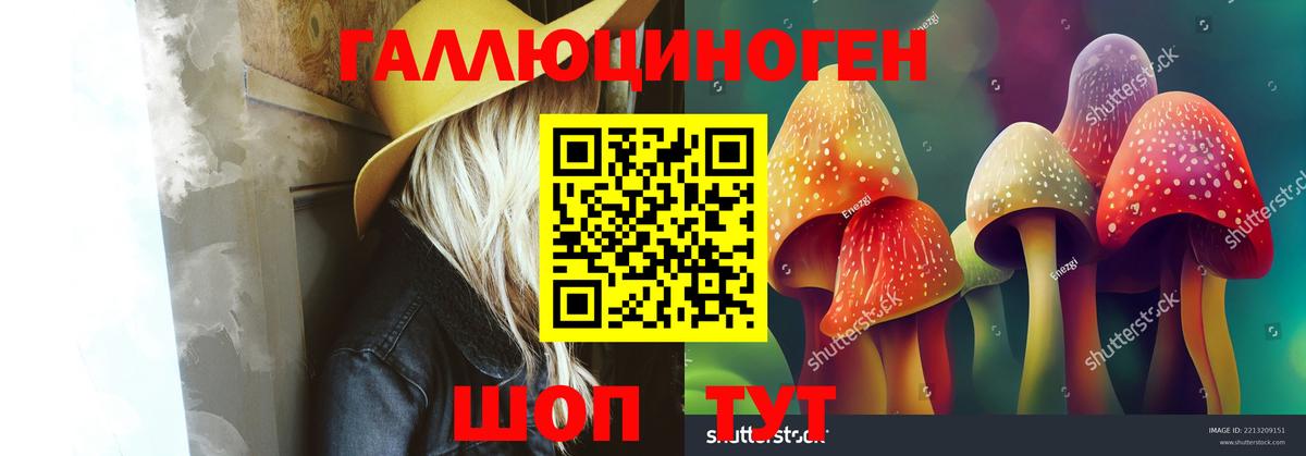 Псилоцибиновые грибы GOLDEN TEACHER  Вход с VPN  Сочи 